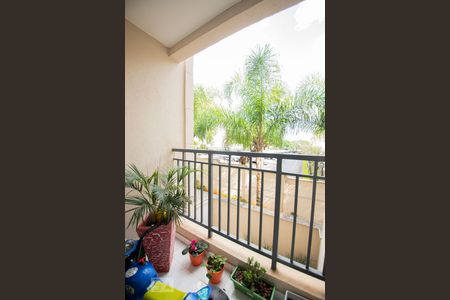 varanda de apartamento para alugar com 2 quartos, 50m² em Jardim Amazonas, Campinas
