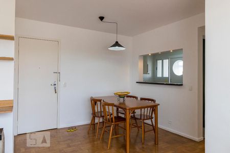 Sala de apartamento para alugar com 2 quartos, 60m² em Vila Paulista, São Paulo