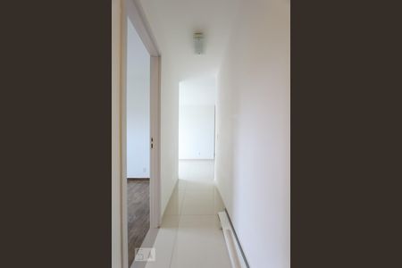 Corredor de apartamento para alugar com 2 quartos, 59m² em Vila Suzana, São Paulo