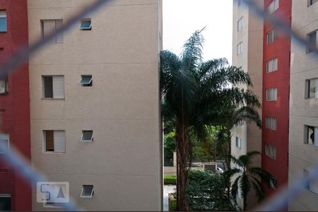 Vista do Quarto 1 de apartamento à venda com 2 quartos, 44m² em Vila Talarico, São Paulo