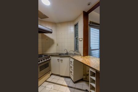 Cozinha de kitnet/studio para alugar com 1 quarto, 55m² em Lourdes, Belo Horizonte