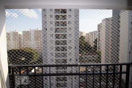 Varanda de apartamento para alugar com 2 quartos, 50m² em Jardim Iris, São Paulo