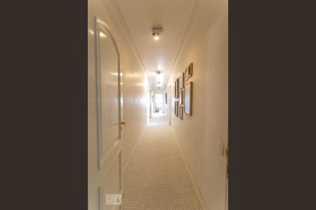 Apartamento à venda com 460m², 5 quartos e 5 vagas Apartamento à venda com 460m², 5 quartos e 5 vagasCorredor 2