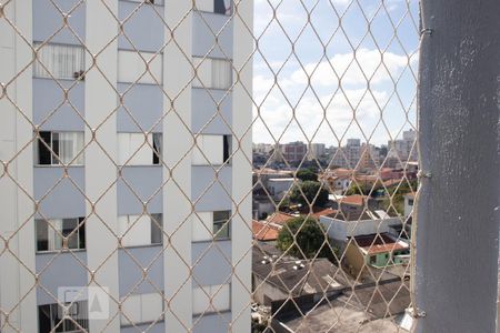 Sala de apartamento para alugar com 2 quartos, 65m² em Vila Santa Catarina, São Paulo