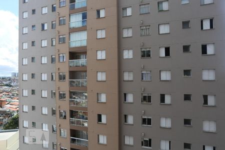 Vista do Quarto 1 de apartamento para alugar com 2 quartos, 52m² em Jardim Roberto, Osasco
