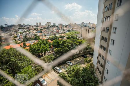Vista do Quarto 1 de apartamento para alugar com 2 quartos, 55m² em Vila Campestre, São Paulo