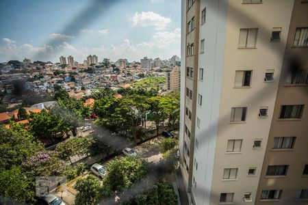 Vista da Sala de apartamento para alugar com 2 quartos, 55m² em Vila Campestre, São Paulo