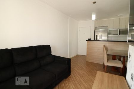 Sala de apartamento para alugar com 2 quartos, 53m² em Vila Bela, São Paulo