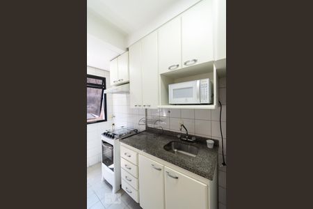 Cozinha de apartamento para alugar com 1 quarto, 47m² em Pinheiros, São Paulo