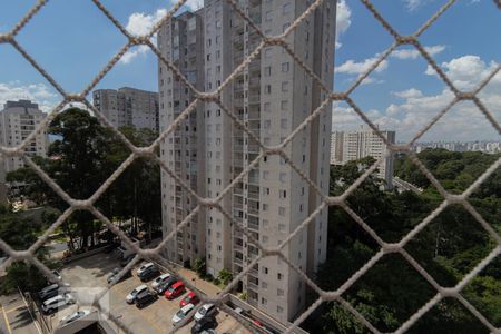 Dormitório 1 - Vista de apartamento para alugar com 3 quartos, 70m² em Jardim Íris, São Paulo