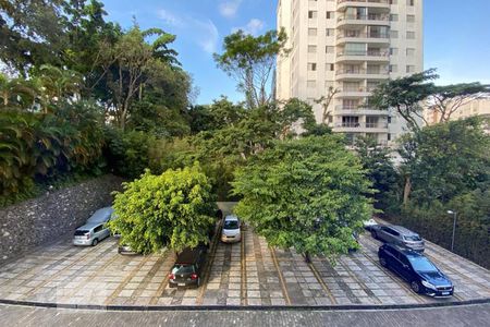 Vista da Sala de apartamento para alugar com 3 quartos, 95m² em Vila Progredior, São Paulo