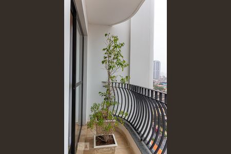 Varanda da Sala de apartamento à venda com 3 quartos, 71m² em Cambuci, São Paulo