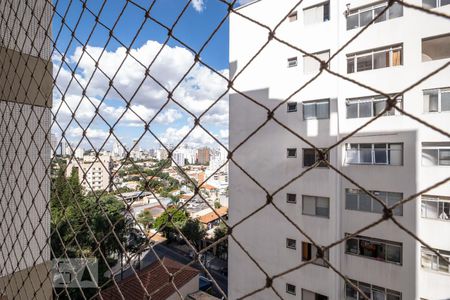 Vista da varanda de apartamento para alugar com 3 quartos, 132m² em Sumarezinho, São Paulo