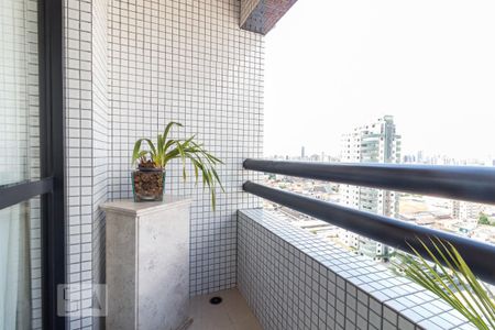 Varanda Sala de apartamento para alugar com 3 quartos, 82m² em Vila Bertioga, São Paulo