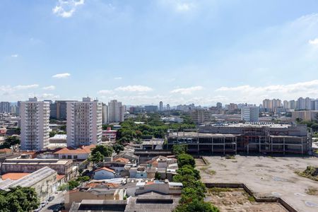 Vista de kitnet/studio para alugar com 1 quarto, 35m² em Cambuci, São Paulo