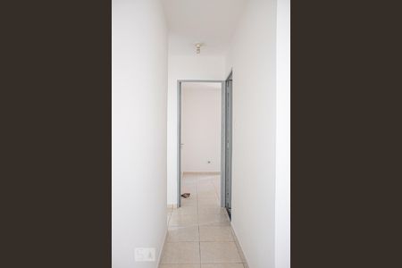 Corredor de apartamento para alugar com 3 quartos, 60m² em Jardim Jaqueline, São Paulo