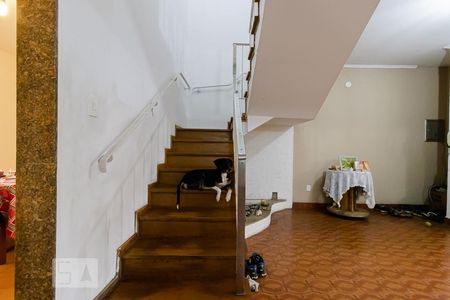 Escada de casa à venda com 3 quartos, 198m² em Vila Santa Eulalia, São Paulo