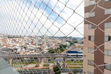 Vista Varanda da Sala de apartamento à venda com 3 quartos, 65m² em Vila Divina Pastora, São Paulo