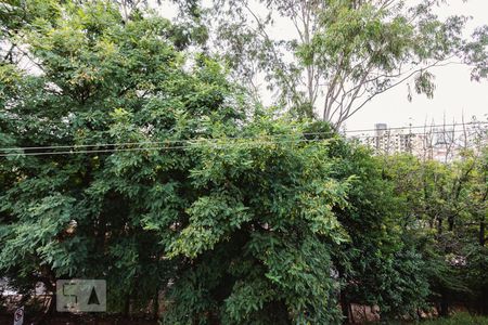 Suíte Vista de casa para alugar com 1 quarto, 40m² em Vila Guaca, São Paulo