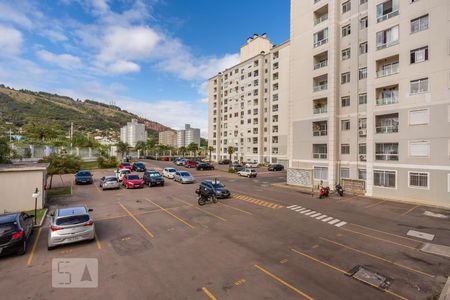 Vista de apartamento para alugar com 2 quartos, 49m² em Morro Santana, Porto Alegre