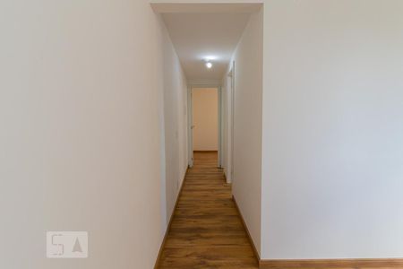 Corredor de apartamento para alugar com 2 quartos, 40m² em Cambuci, São Paulo