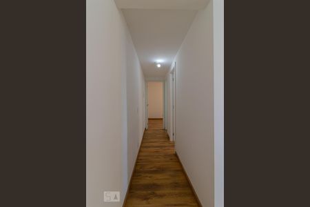 Corredor de apartamento para alugar com 2 quartos, 40m² em Cambuci, São Paulo