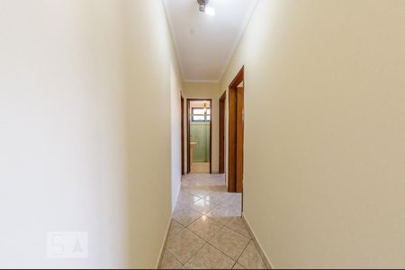 Corredor de apartamento para alugar com 3 quartos, 83m² em Chácara Primavera, Campinas