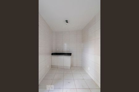 Cozinha de apartamento para alugar com 1 quarto, 45m² em Sagrada Família, Belo Horizonte