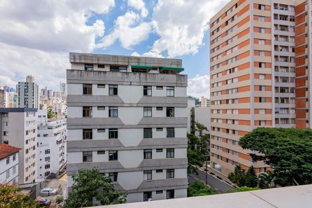 Vista Varanda Sala  de apartamento à venda com 4 quartos, 220m² em Santo Antônio, Belo Horizonte