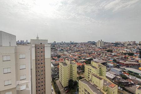 Studio vista de apartamento para alugar com 1 quarto, 32m² em Vila Graciosa, São Paulo