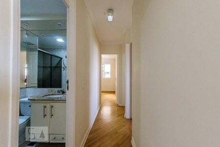 Corredor de apartamento para alugar com 3 quartos, 74m² em Jardim das Paineiras, Campinas