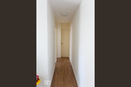 Corredor de apartamento para alugar com 2 quartos, 54m² em Jardim Caboré, São Paulo