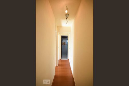 Corredor de apartamento à venda com 2 quartos, 70m² em Jardim Morro Verde, São Paulo