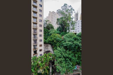 Vista de apartamento para alugar com 1 quarto, 35m² em Perdizes, São Paulo