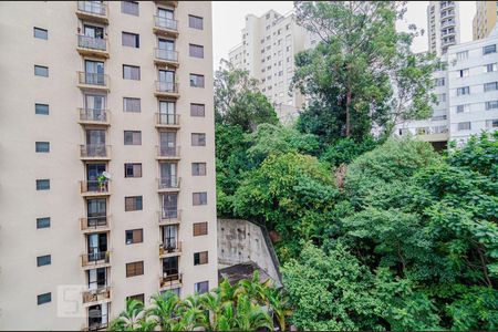 Vista de apartamento para alugar com 1 quarto, 35m² em Perdizes, São Paulo