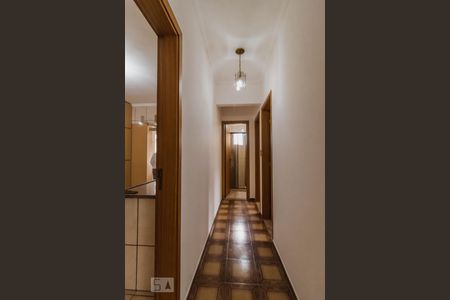 Corredor de apartamento para alugar com 2 quartos, 61m² em Vila Cláudia, São Paulo