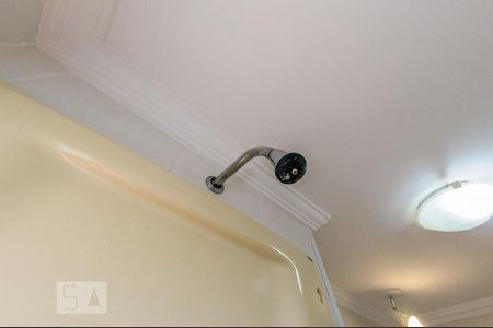 Banheiro Social de apartamento para alugar com 2 quartos, 57m² em Vila Nova, Campinas