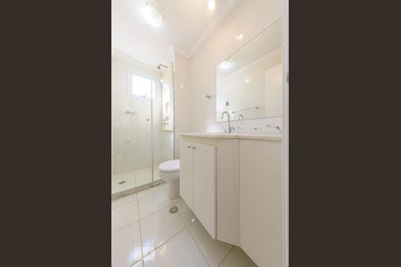 Banheiro Social de apartamento para alugar com 2 quartos, 57m² em Vila Nova, Campinas