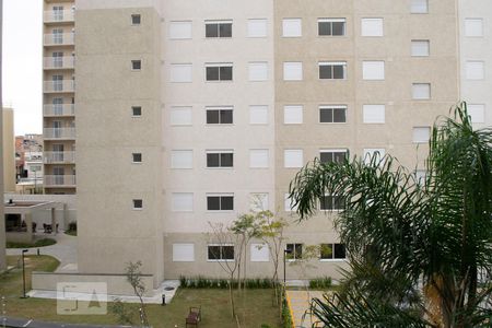 VISTA SALA de apartamento para alugar com 2 quartos, 49m² em Vila Palmeiras, São Paulo