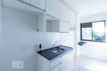 Cozinha integrada de apartamento para alugar com 2 quartos, 48m² em Vila Abranches, Ribeirão Preto