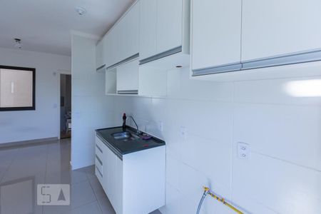 Cozinha integrada de apartamento para alugar com 2 quartos, 48m² em Vila Abranches, Ribeirão Preto