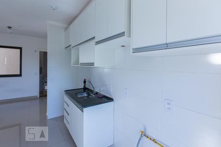 Cozinha integrada de apartamento para alugar com 2 quartos, 48m² em Vila Abranches, Ribeirão Preto