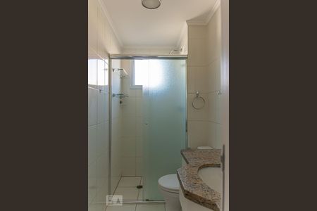 Banheiro de apartamento para alugar com 2 quartos, 60m² em Vila Gumercindo, São Paulo