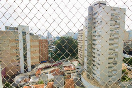 Vista de apartamento à venda com 2 quartos, 110m² em Vila Mariana, São Paulo