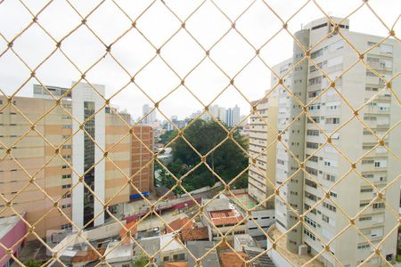 Vista de apartamento à venda com 2 quartos, 110m² em Vila Mariana, São Paulo