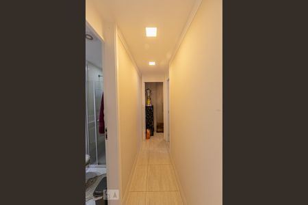 Corredor de apartamento para alugar com 2 quartos, 50m² em Jardim Vila Formosa, São Paulo