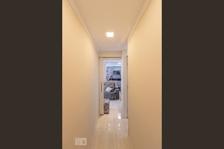 Corredor de apartamento para alugar com 2 quartos, 50m² em Jardim Vila Formosa, São Paulo