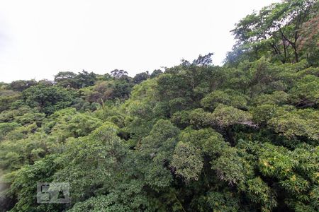 Vista de apartamento para alugar com 3 quartos, 85m² em Cosme Velho, Rio de Janeiro