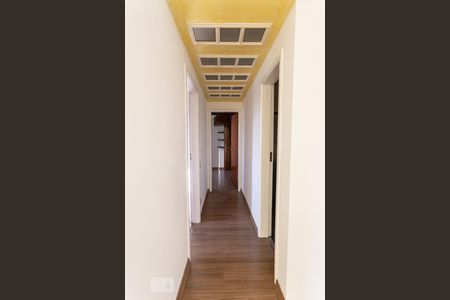 Corredor de apartamento para alugar com 2 quartos, 65m² em Vila Gomes Cardim, São Paulo