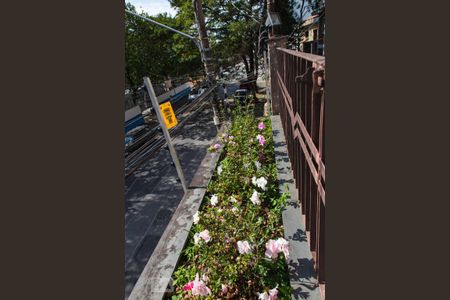 Quintal da Frente de casa à venda com 3 quartos, 315m² em Vila Maria Alta, São Paulo